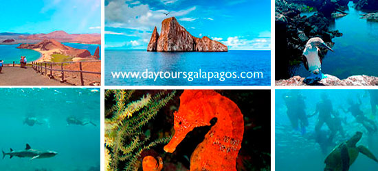 tours diarios a Galápagos