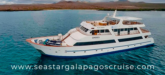 Yate Sea Star Galápagos